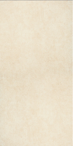Dream Sahara