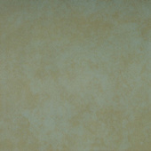 Bone Antislip