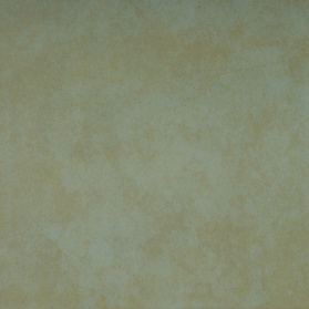 Bone Antislip