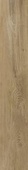 Metropolis Beige