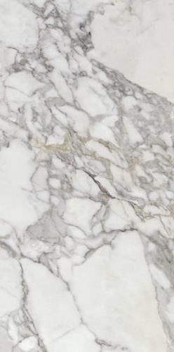 Calacatta Silver