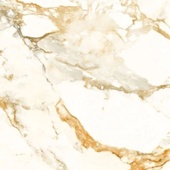 Calacata Gold