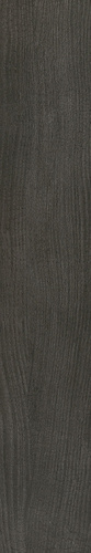 Eternity Negro