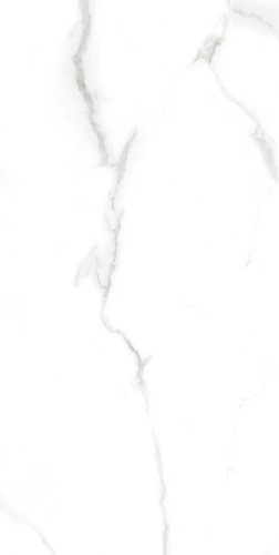 Statuario Dallas Silver Polished 60x120см