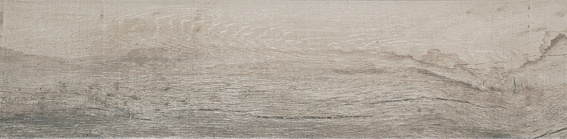Saloon Grey